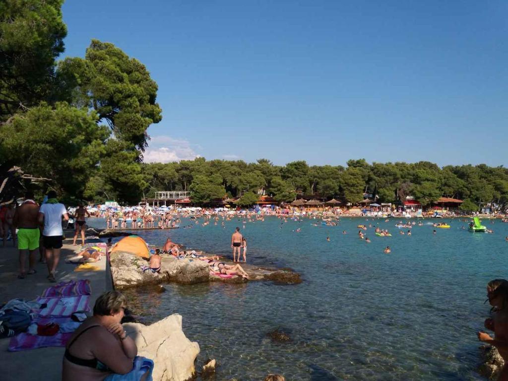 Plaża w Biogradzie